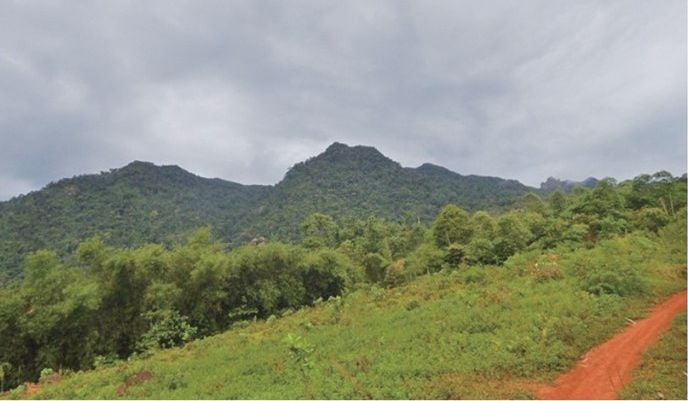 The hillside near Hang Khoai where the bamboo was cut.