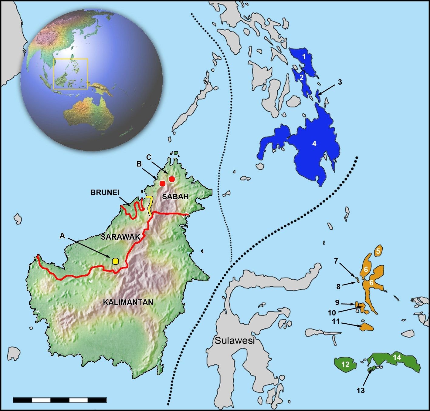 The snakes' home is marked by two red dots in northern Sabah (B and C). The only known locality of *S. borneensis* is the yellow dot in Sarawak (A). The dotted lines are two versions of Wallace's Line.