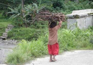 A young boy walks home in Gleno after collecting firewood.