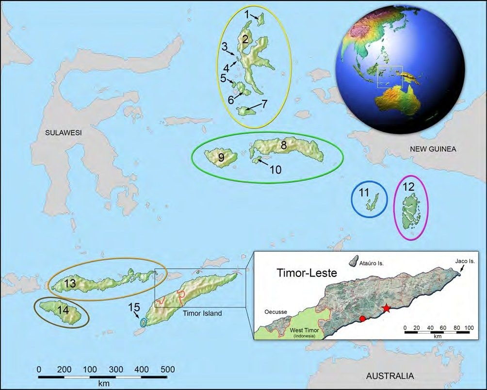 Where the Timor groundsnake lives (red star and circle in the inset map) and the islands of its closest relatives. Semau, home of *S. lividus*, is number 15.